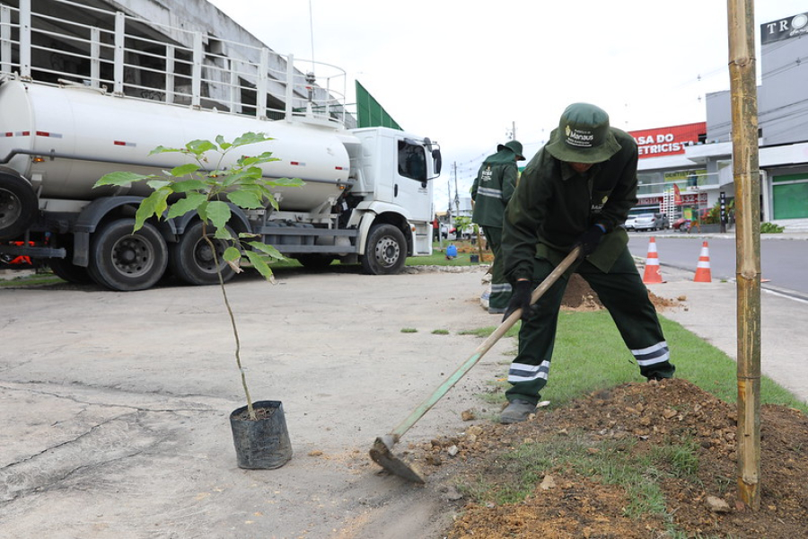 Prefeitura de Manaus realiza plantio de 500 mudas na Max Teixeira